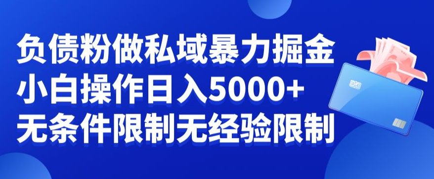 负债粉私域暴力掘金，小白操作入5000，无经验限制，无条件限制-创业猫