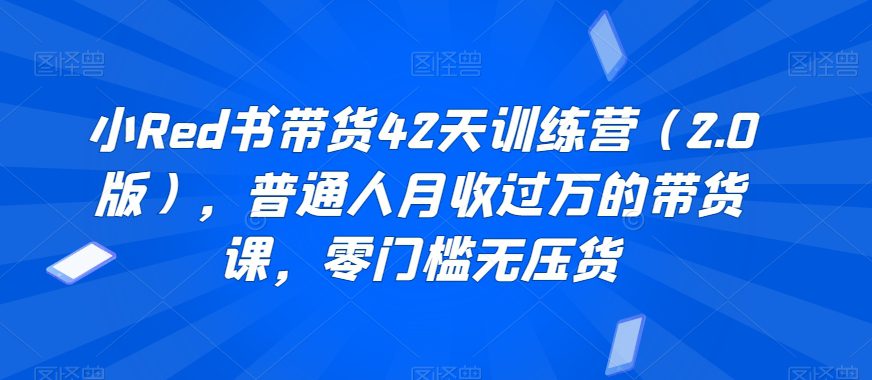 小Red书带货42天训练营（2.0版），普通人月收过万的带货课，零门槛无压货-创业猫