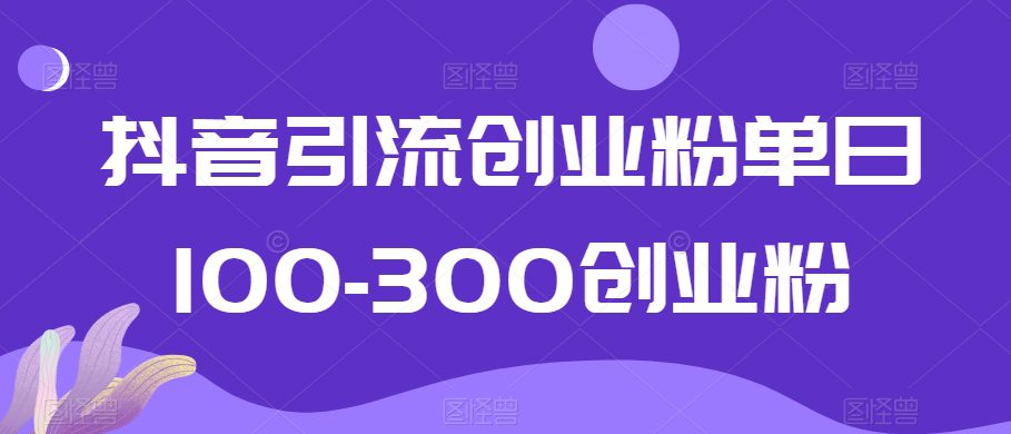 抖音引流创业粉单日100-300创业粉-创业猫