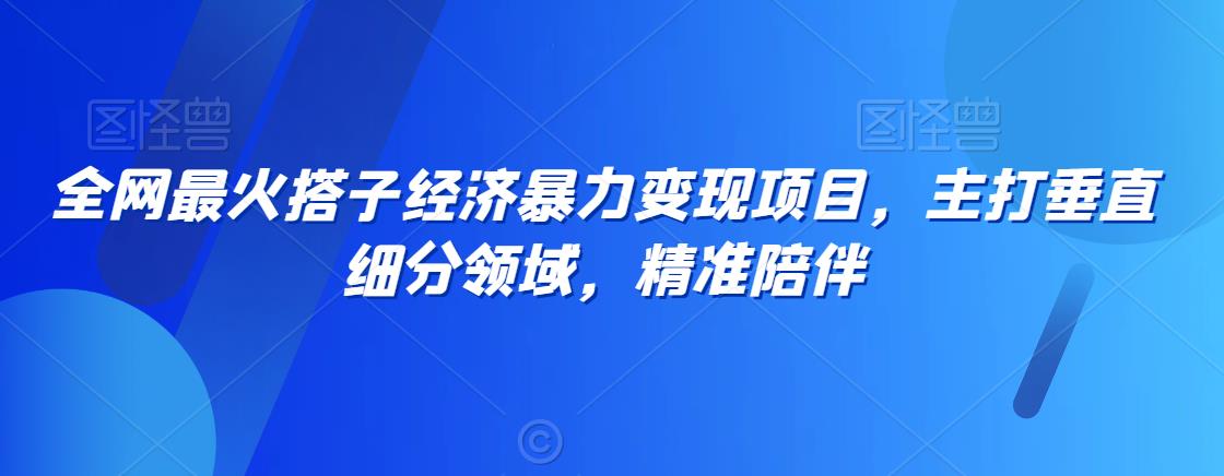 全网最火搭子经济暴力变现项目，主打垂直细分领域，精准陪伴-创业猫