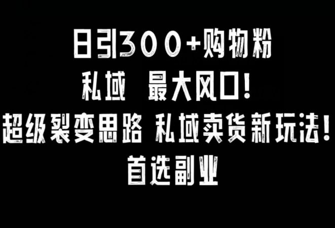 日引300+购物粉，超级裂变思路，私域卖货新玩法，小红书首选副业-创业猫