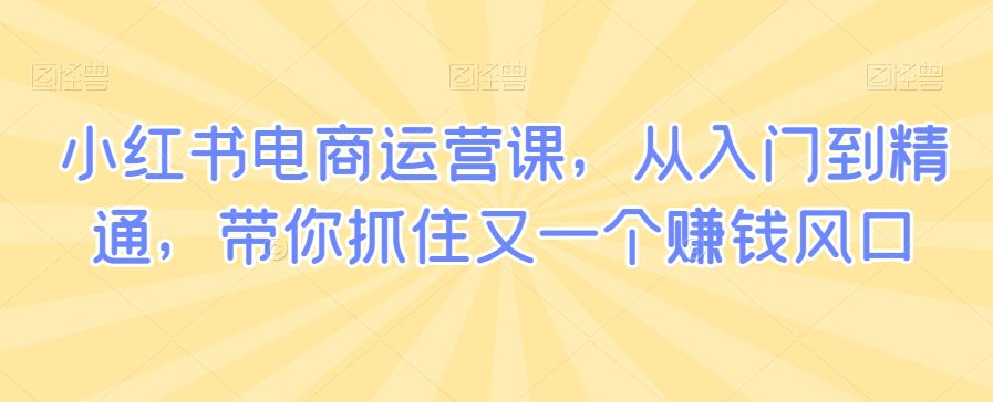 小红书电商运营课，从入门到精通，带你抓住又一个赚钱风口-创业猫