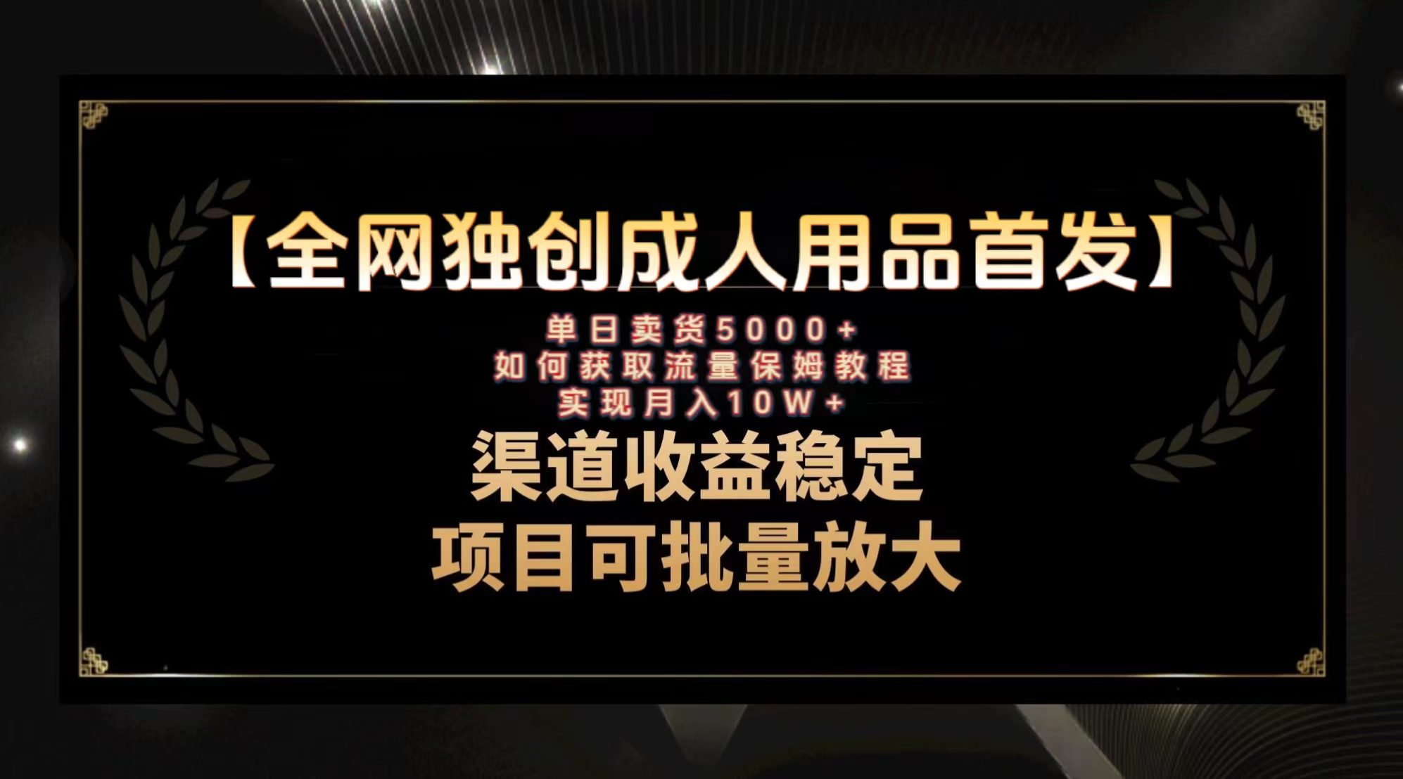 （8128期）最新全网独创首发，成人用品赛道引流获客，月入10w保姆级教程-创业猫