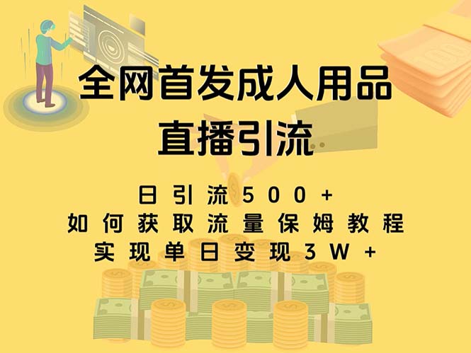 （8193期）最新全网独创首发，成人用品直播引流获客暴力玩法，单日变现3w保姆级教程-创业猫