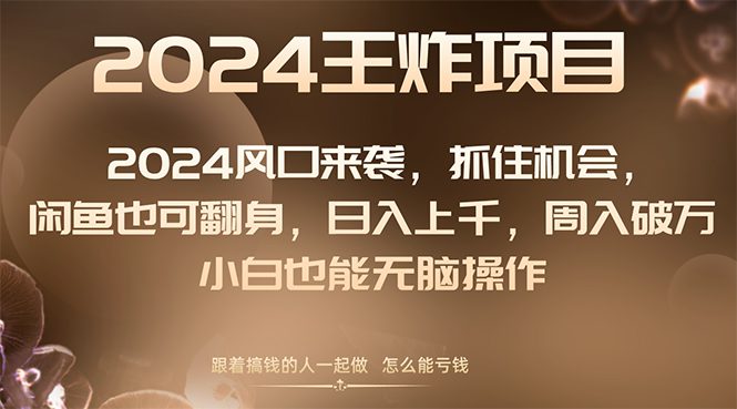 （8401期）2024风口项目来袭，抓住机会，闲鱼也可翻身，日入上千，周入破万，小白…-创业猫