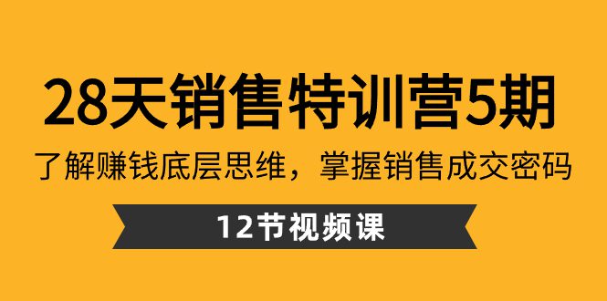 （8659期）28天·销售特训营5期：了解赚钱底层思维，掌握销售成交密码（12节课）-创业猫