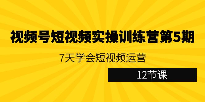 （9029期）视频号短视频实操训练营第5期：7天学会短视频运营（12节课）-创业猫