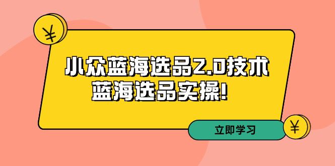 （9189期）拼多多培训第33期：小众蓝海选品2.0技术-蓝海选品实操！-创业猫