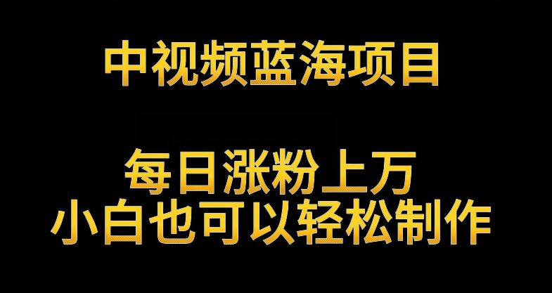 中视频蓝海项目，解读英雄人物生平，每日涨粉上万，小白也可以轻松制作，月入过万不是梦-创业猫