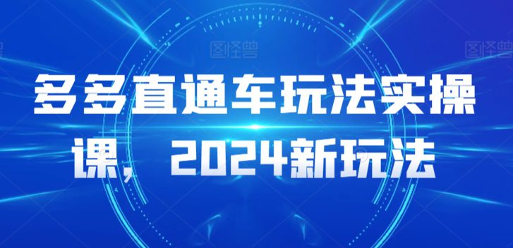 多多直通车玩法实操课，2024新玩法-创业猫