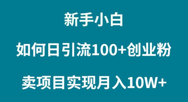 （9556期）新手小白如何通过卖项目实现月入10W+-创业猫