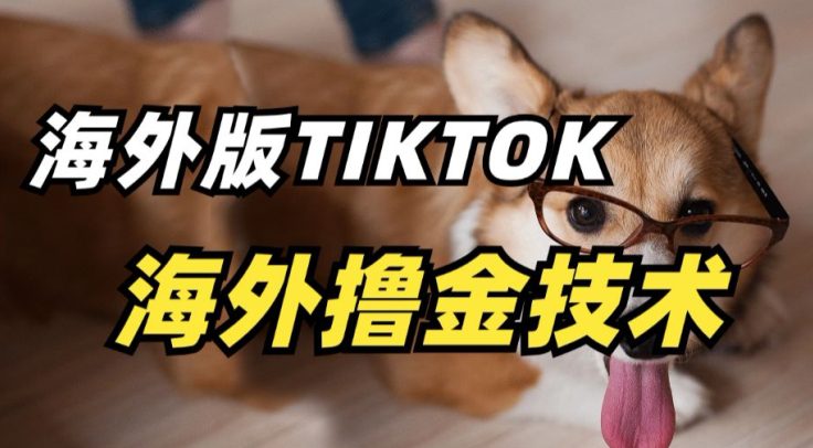 抖音海外版tiktok撸金技术，这个风口行业，赚钱真的不难-创业猫