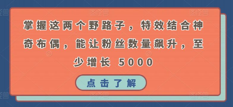 掌握这两个野路子，特效结合神奇布偶，能让粉丝数量飙升，至少增长 5000-创业猫