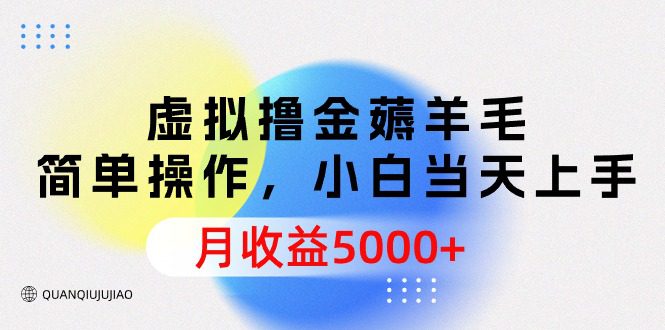 （9864期）虚拟撸金薅羊毛，简单操作，小白当天上手，月收益5000+-创业猫