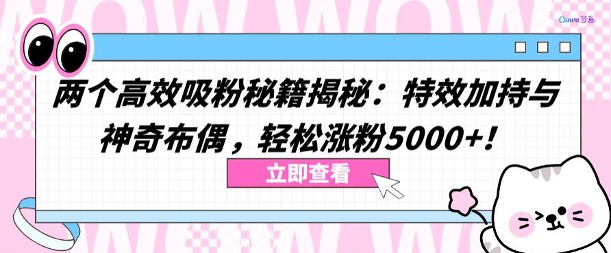 两个高效吸粉秘籍揭秘：特效加持与神奇布偶，轻松涨粉5000+-创业猫