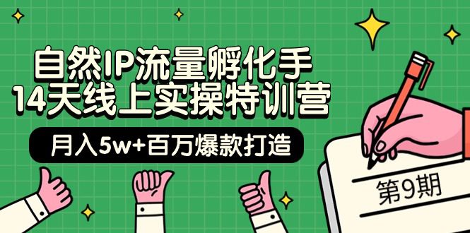 （9881期）自然IP流量孵化手 14天线上实操特训营【第9期】月入5w+百万爆款打造 (74节)-创业猫