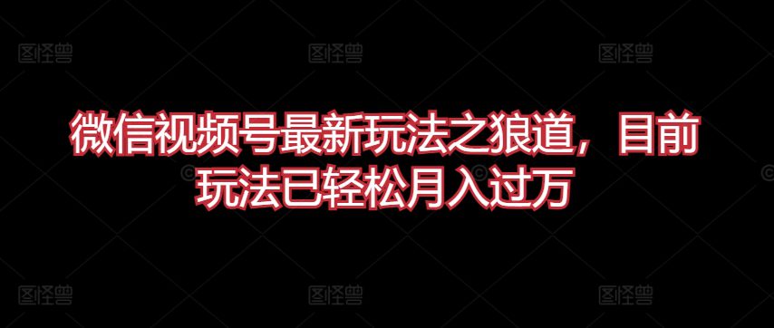 微信视频号最新玩法之狼道，目前玩法已轻松月入过万-创业猫