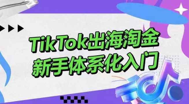 TikTok出海淘金，新手体系化入门，零基础快速入门，掌握短视频、直播带货等引流到变现的知识-创业猫