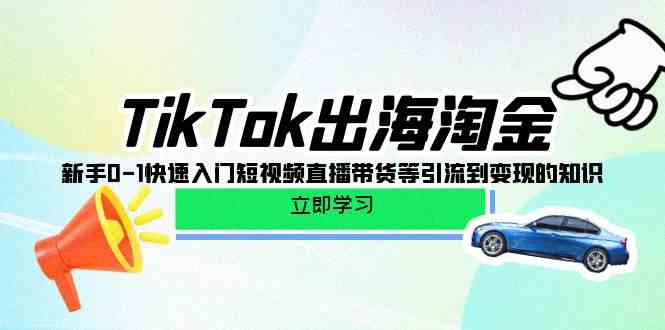 TikTok出海淘金，新手0-1快速入门短视频直播带货等引流到变现的知识-创业猫