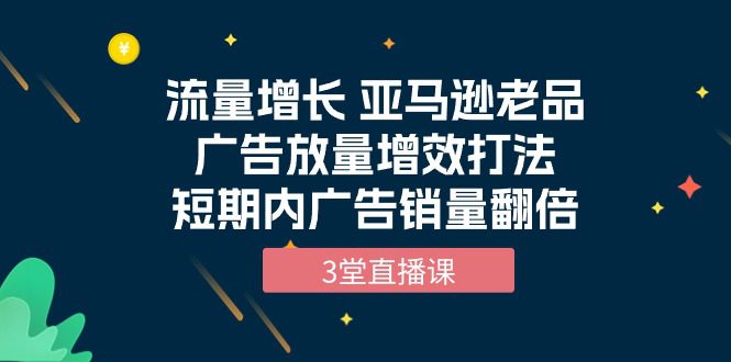 （10112期）流量增长 亚马逊老品广告放量增效打法，短期内广告销量翻倍（3堂直播课）-创业猫