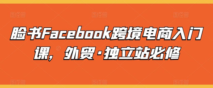 脸书Facebook跨境电商入门课，外贸·独立站必修-创业猫