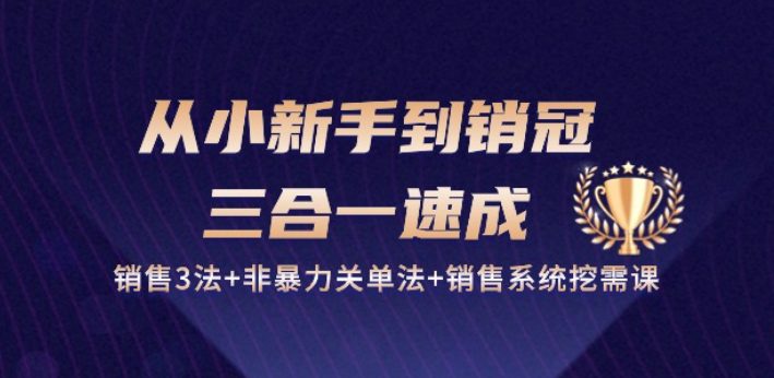 从小新手到销冠 三合一速成：销售3法+非暴力关单法+销售系统挖需课 (27节)-创业猫