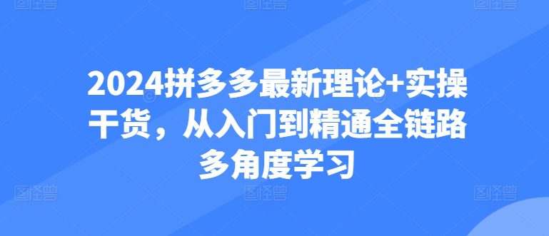 2024拼多多最新理论+实操干货，从入门到精通全链路多角度学习-创业猫