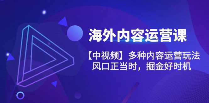 海外内容运营课【中视频】多种内容运营玩法 风口正当时 掘金好时机（101节）-创业猫