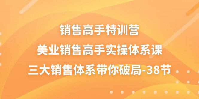 销售高手特训营，美业销售高手实操体系课，三大销售体系带你破局（38节）-创业猫