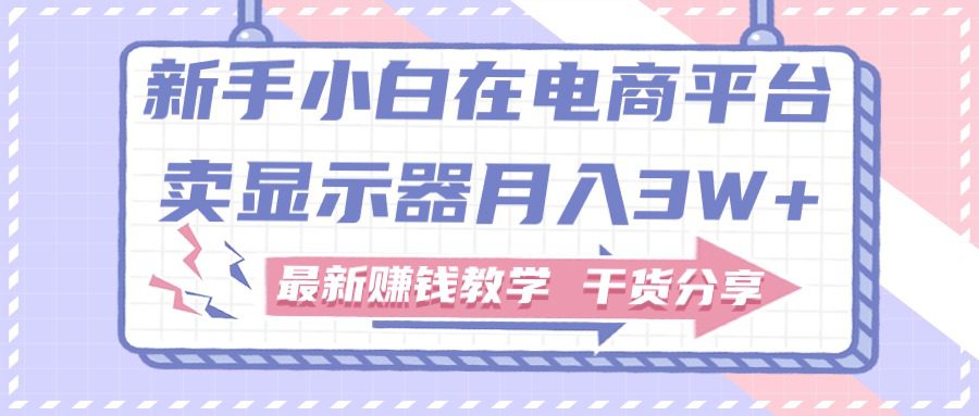 （11053期）新手小白如何做到在电商平台卖显示器月入3W+，最新赚钱教学干货分享-创业猫