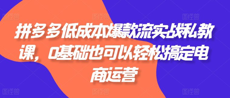 拼多多低成本爆款流实战私教课，0基础也可以轻松搞定电商运营-创业猫