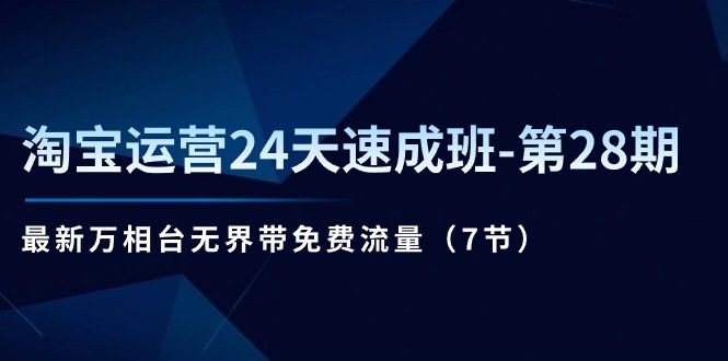 （11182期）淘宝运营24天速成班-第28期：最新万相台无界带免费流量（7节）-创业猫