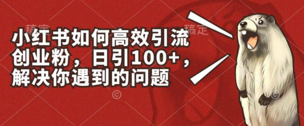 小红书如何高效引流创业粉，日引100+，解决你遇到的问题-创业猫