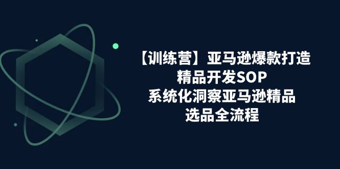 亚马逊爆款打造之精品开发SOP【训练营】，系统化洞察亚马逊精品选品全流程-创业猫