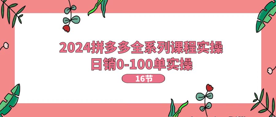 （11222期）2024拼多多全系列课程实操，日销0-100单实操【16节课】-创业猫