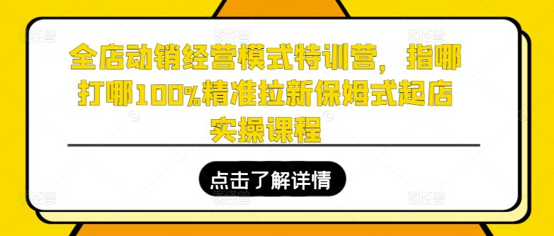 全店动销经营模式特训营，指哪打哪100%精准拉新保姆式起店实操课程-创业猫