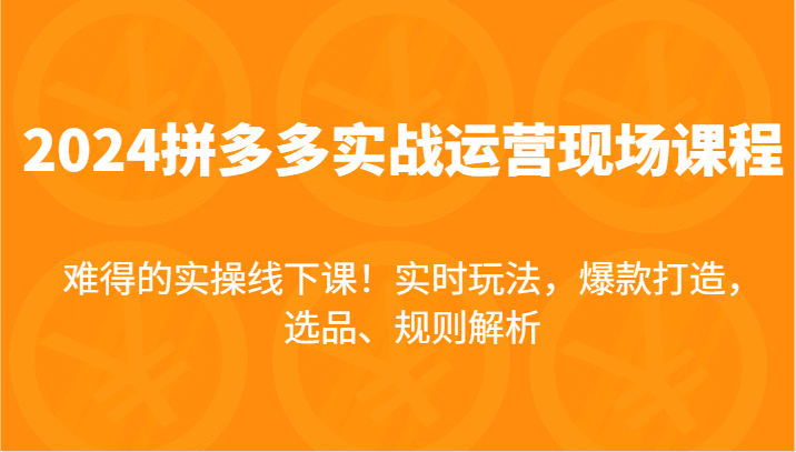 2024拼多多实战运营现场课，实时玩法，爆款打造，选品、规则解析，难得的实操线下课！-创业猫