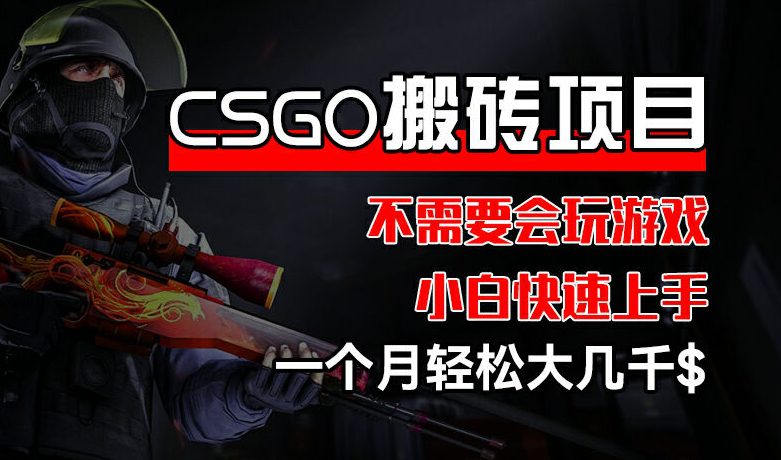 CSGO 装备搬砖项目，操作简单，不需要会玩游戏，小白也能快速上手，一个月轻松大几千-创业猫