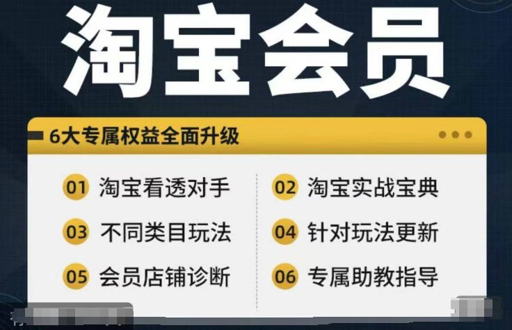 淘宝会员【淘宝所有课程，全面分析对手】，初级到高手全系实战宝典-创业猫