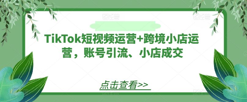 TikTok短视频运营+跨境小店运营，账号引流、小店成交-创业猫