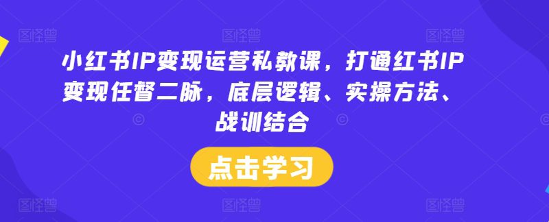 小红书IP变现运营私教课，打通红书IP变现任督二脉，底层逻辑、实操方法、战训结合-创业猫