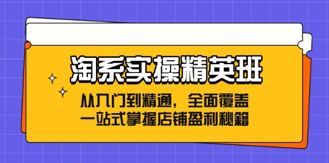 （12276期）淘系实操精英班：从入门到精通，全面覆盖，一站式掌握店铺盈利秘籍-创业猫