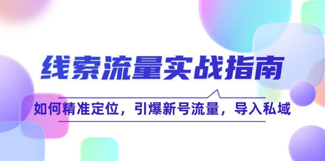 （12382期）线 索 流 量-实战指南：如何精准定位，引爆新号流量，导入私域-创业猫