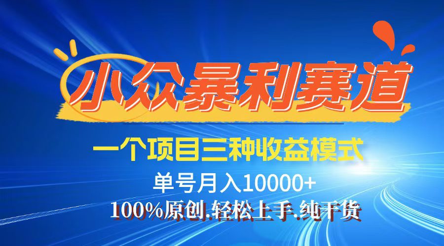 （12579期）【老人言】-视频号爆火赛道，三种变现方式，0粉新号调调爆款-创业猫