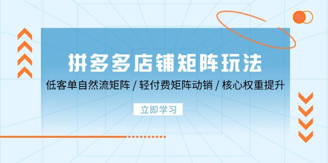 （12720期）拼多多店铺矩阵玩法：低客单自然流矩阵 / 轻付费矩阵 动销 / 核心权重提升-创业猫