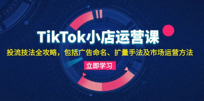 （13063期）TikTok小店运营课：投流技法全攻略，包括广告命名 扩量手法及市场运营方法-创业猫