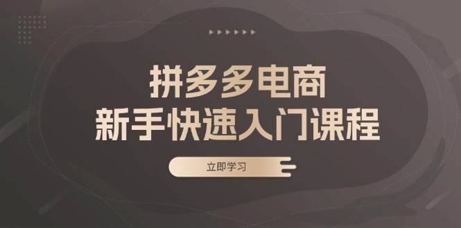 拼多多电商新手快速入门课程：涵盖基础、实战与选款，助力小白轻松上手-创业猫