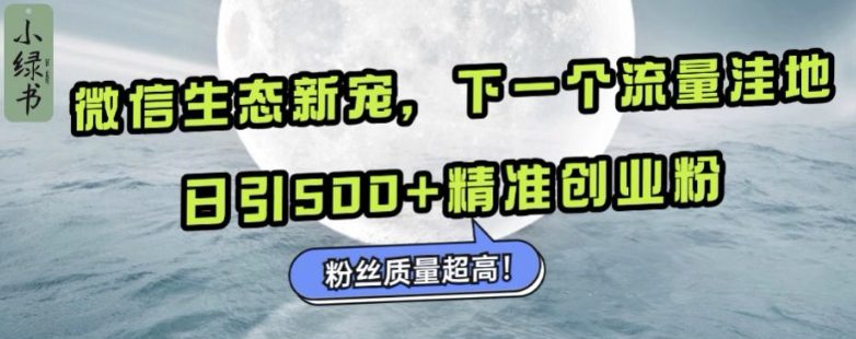 微信生态新宠小绿书：下一个流量洼地，日引500+精准创业粉，粉丝质量超高-创业猫