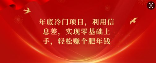 年底冷门项目，利用信息差，实现零基础上手，轻松赚个肥年钱-创业猫