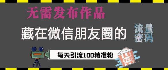 藏在微信朋友圈的流量密码，无需发布作品，单日引流100+精准创业粉-创业猫